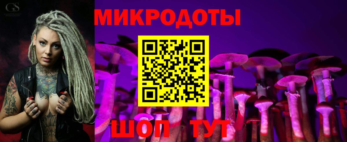 Псилоцибиновые грибы Psilocybe Лосино-Петровский