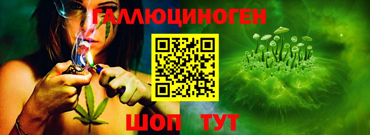 Лосино-Петровский  Псилоцибиновые грибы GOLDEN TEACHER  Вход с VPN 